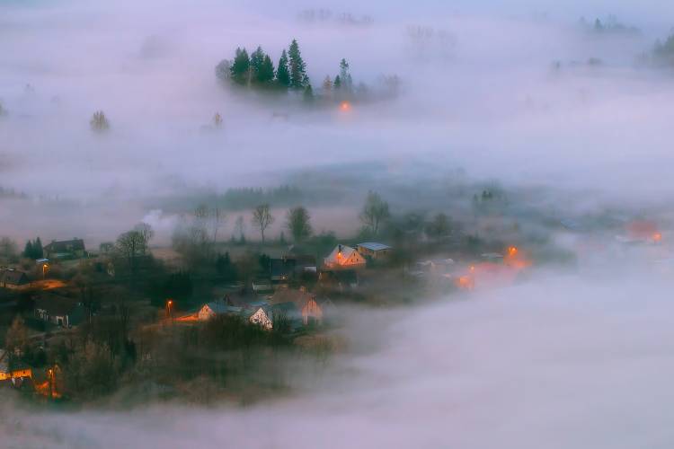 In the Morning Fog de Piotr Krol (Bax)