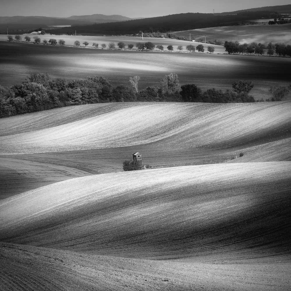 Moravian fields de Piotr Krol (Bax)