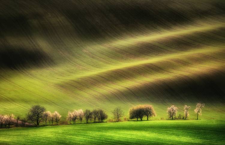 Moravian Fields de Piotr Krol (Bax)