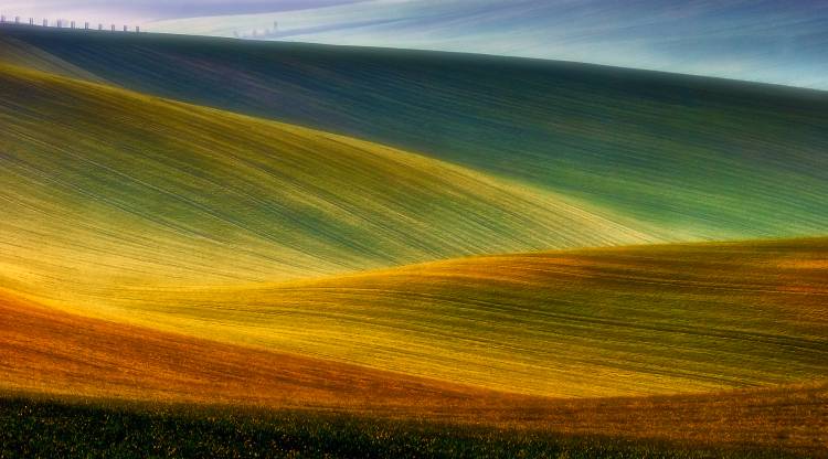 Spring fields de Piotr Krol (Bax)