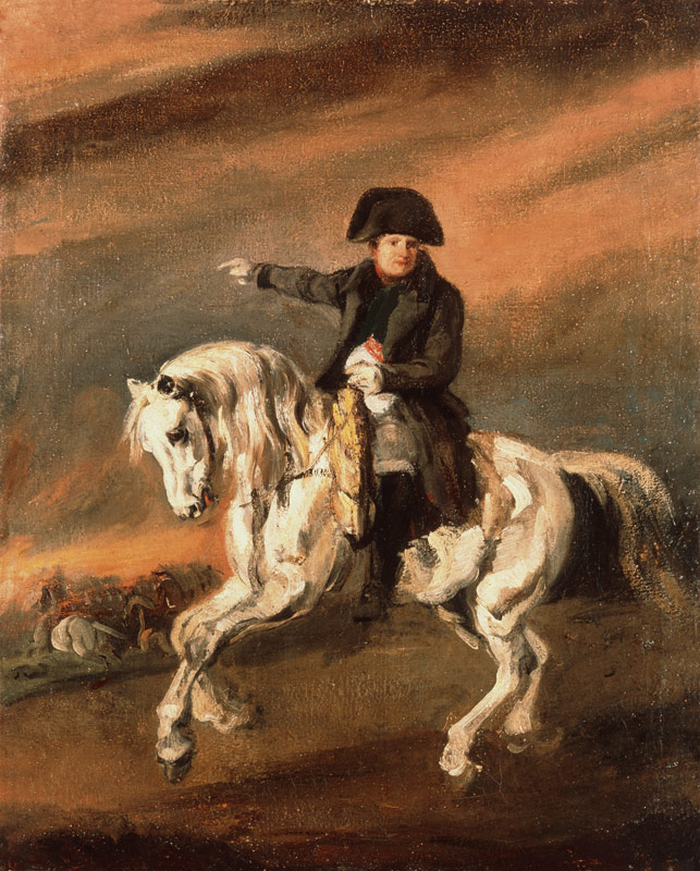 Napoleon to horse de Piotr Michalowski