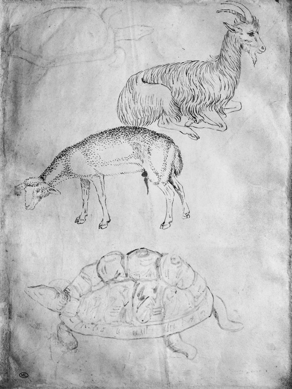 Two tortoises, goat and sheep, from the The Vallardi Album de Pisanello