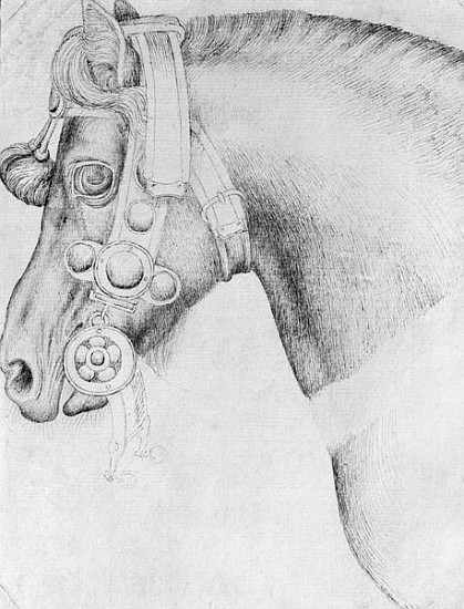 Head of a horse, from the The Vallardi Album de Pisanello