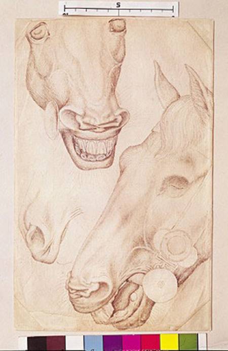 Heads of Horses (pen & ink on paper) de Pisanello