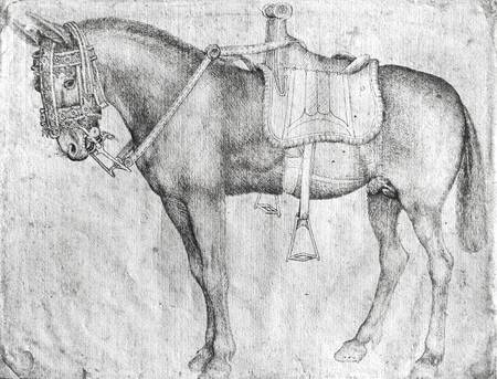 Mule de Pisanello