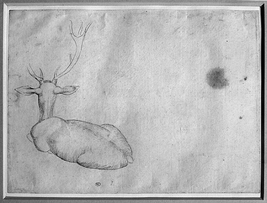 Resting stag, seen from behind, from the The Vallardi Album de Pisanello