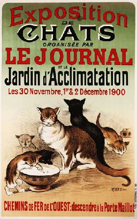 Exposition De Chats