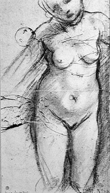 Knee Length Study of a Nude Woman de Pontormo,Jacopo Carucci da
