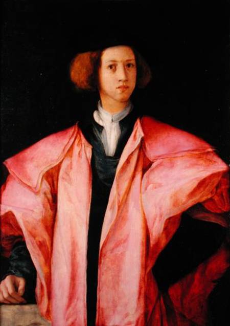 Portrait of a Young Man de Pontormo,Jacopo Carucci da