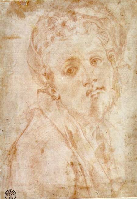 Self Portrait de Pontormo,Jacopo Carucci da