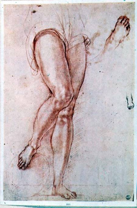 Study of a pair of legs and two feet for a figure of St. Michael (red chalk with pen & ink) de Pontormo,Jacopo Carucci da
