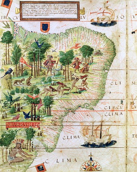 Brazil from the ''Miller Atlas'' Pedro Reinel, c.1519 (detail of 75615) de Portuguese School