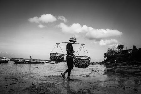 The Seaweed Farmer