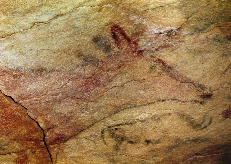 Stag from the Caves of Altamira de Prehistoric
