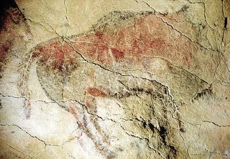 Bison from the Caves at Altamira de Prehistoric