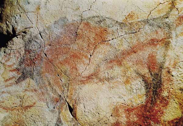 Bison, from the Caves at Altamira de Prehistoric