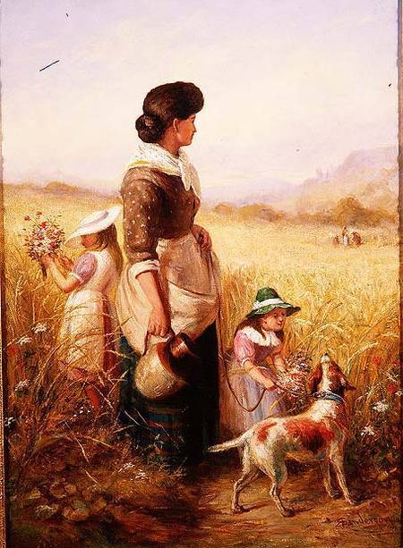 Playing in the Fields de R. Saunderson-Cathering