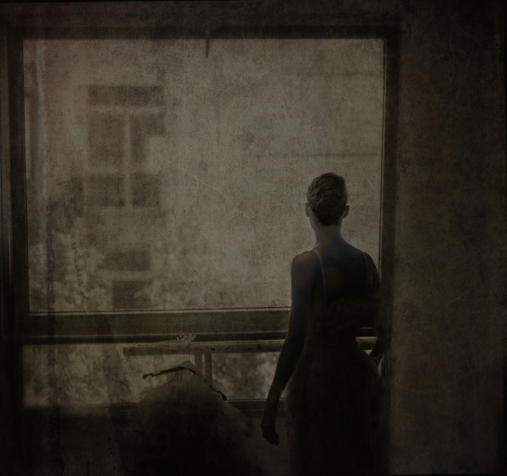 Behind the window de Rachel Pansky