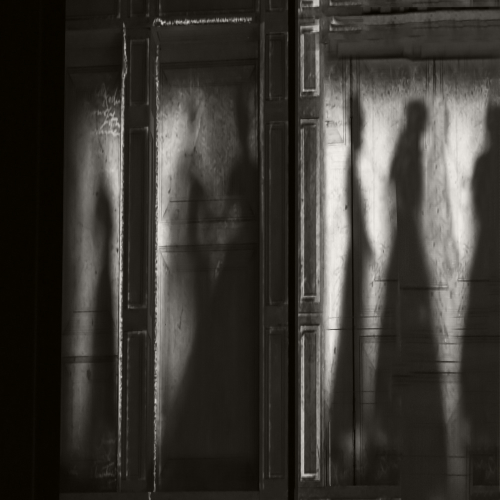 shadows de Rachel Pansky
