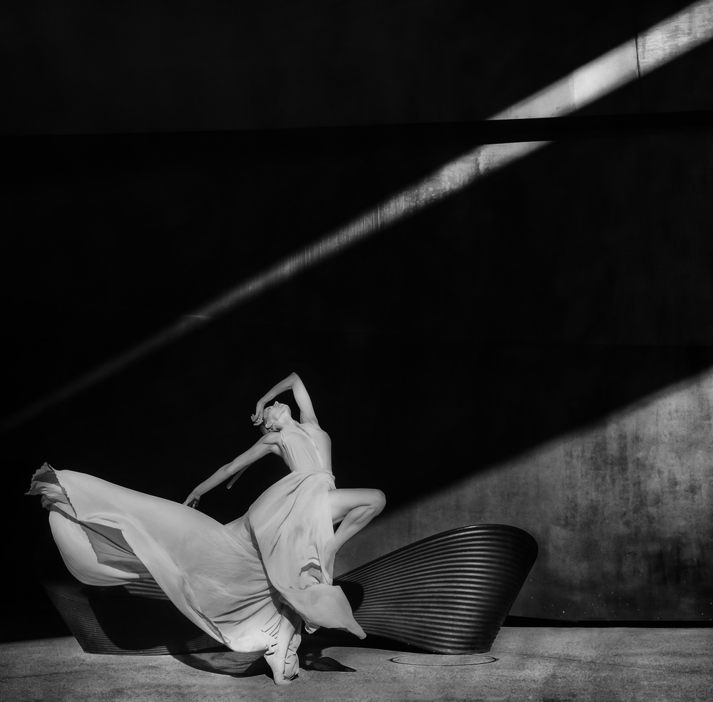 Dancing with the light de Rachel Pansky