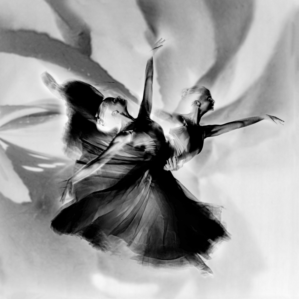 Dance in black and white de Rachel Pansky