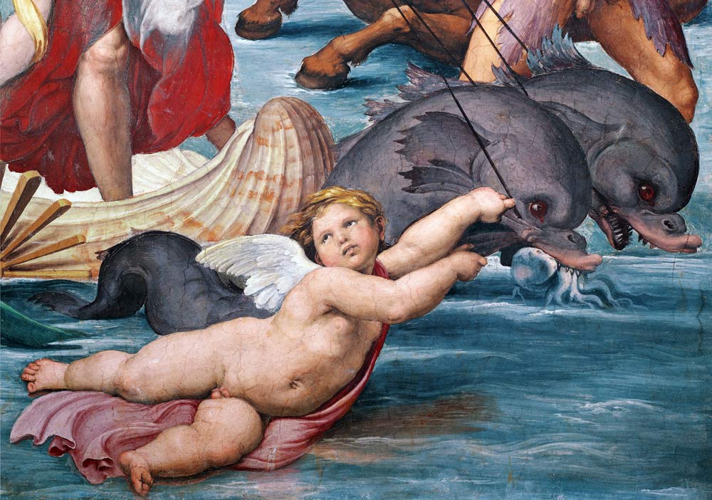 Galatea, detail of putto and dolphins de Raffaello Sanzio