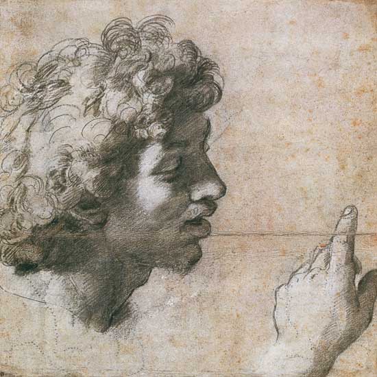 Studies of a Man's Head and Hand de Raffaello Sanzio