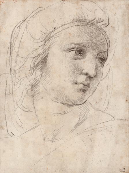 Kopf einer Muse. de Raffaello Sanzio