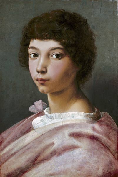 Portrait of a young man de Raffaello Sanzio