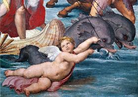 Galatea, detail of putto and dolphins
