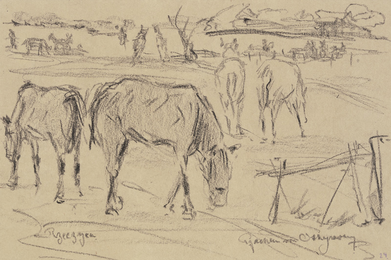Weidende Pferde in Rzeczyca, Russisch-Polen de Reinhard Pfaehler von Othegraven