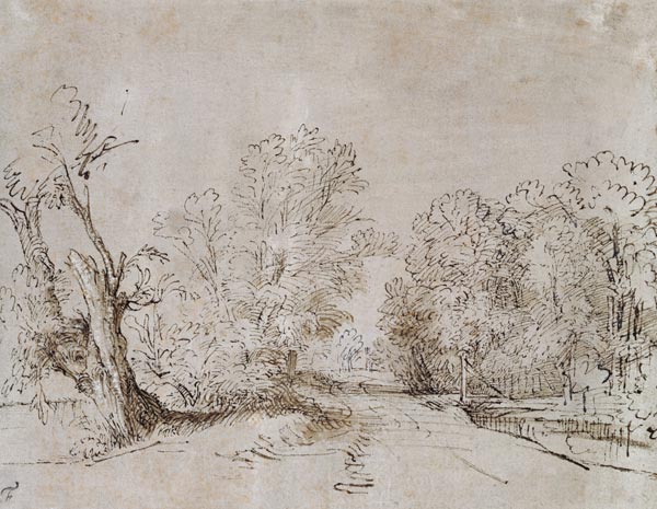 A Wooded Road de Rembrandt van Rijn