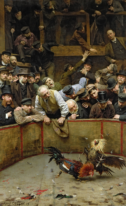 The Cockfight, 1889 (oil on canvas) de Rémy Cogghe