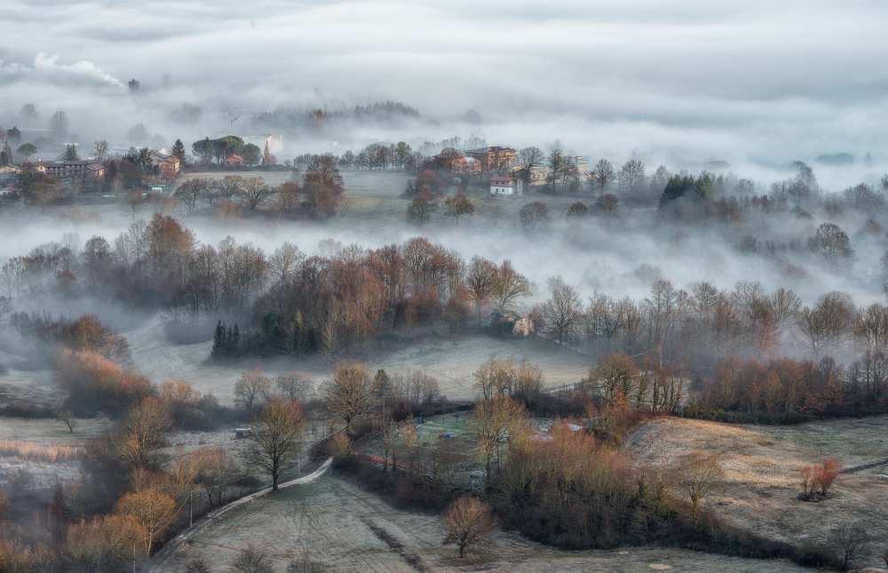misty fields de Riccardo Lucidi