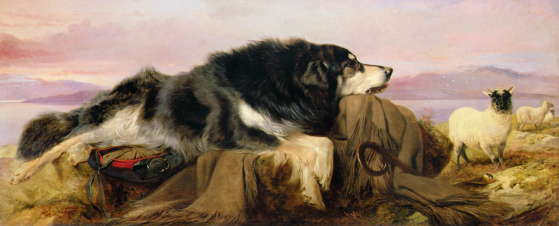 The Shepherd's Dog de Richard Ansdell