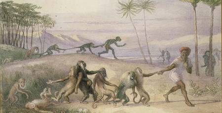 The Manners and Customs of Monkeys de Richard Doyle