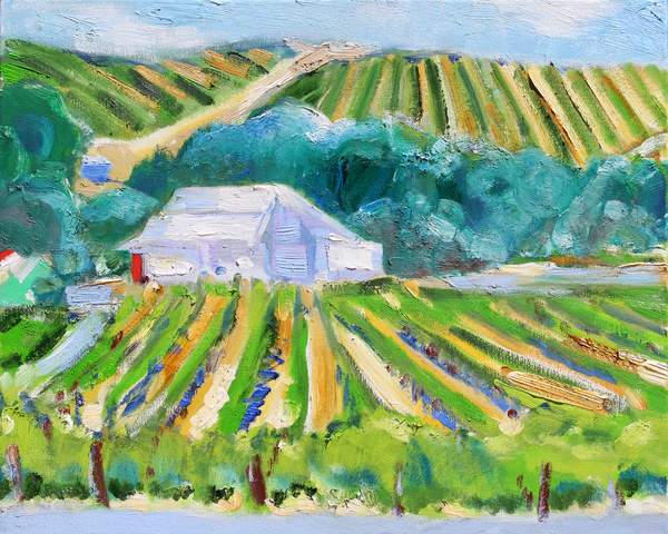 White Barn and Vineyard, Napa de Richard Fox