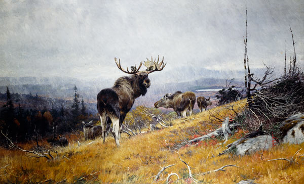 Elk pack de Richard Friese