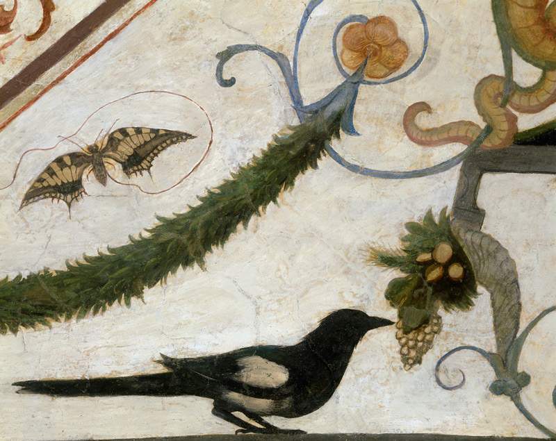 Vogel und Schmetterling de Ridolfo Ghirlandaio