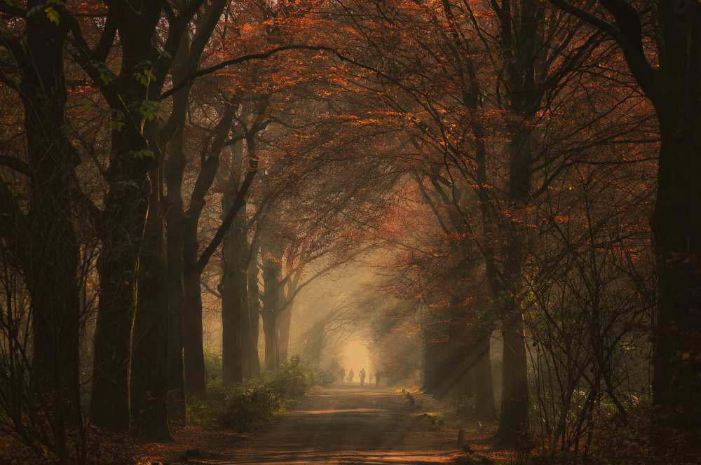Autumn walk de Robert
