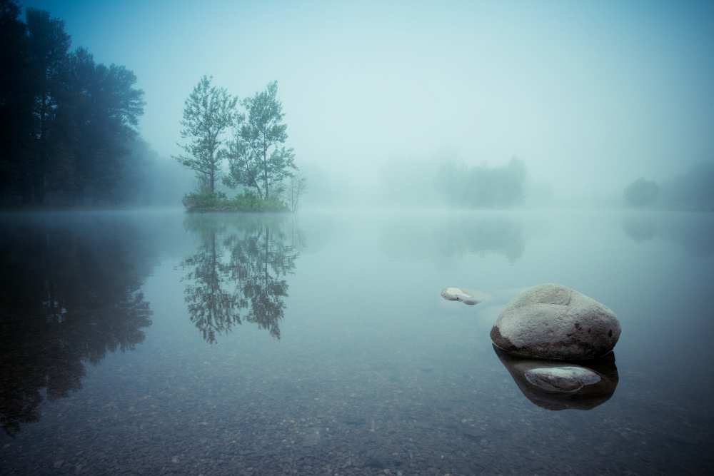 Laguna Morning de Robert Adamec