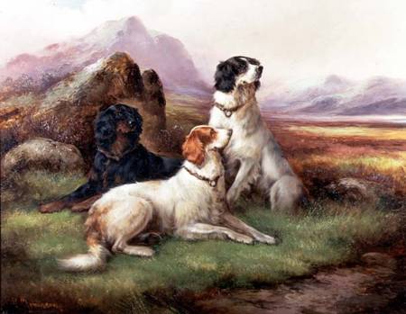 Setters in a Highland Landscape de Robert Cleminson