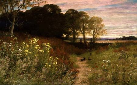 Landscape with Wild Flowers and Rabbits de Robert Collinson