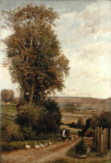 The Vale of Rothbury de Robert Jobling