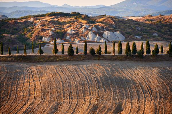 Landschaft in der Toskana mit Zypressenreihe de Robert Kalb