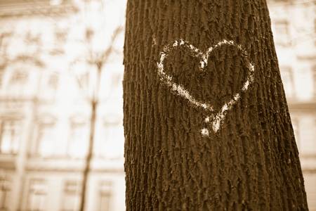 Gezeichnetes Herz auf einem Baumstamm.