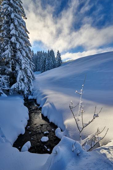 Romantische tiefverschneite Winterlandschaft mit Tanne und Bach 