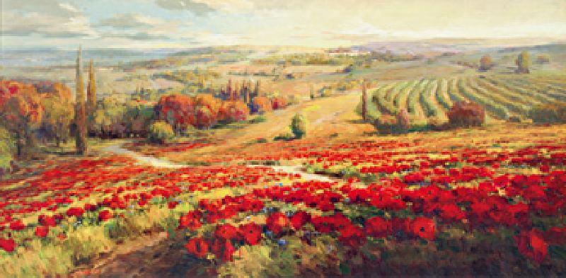 Red Poppy Panorama de Robert Lombardi