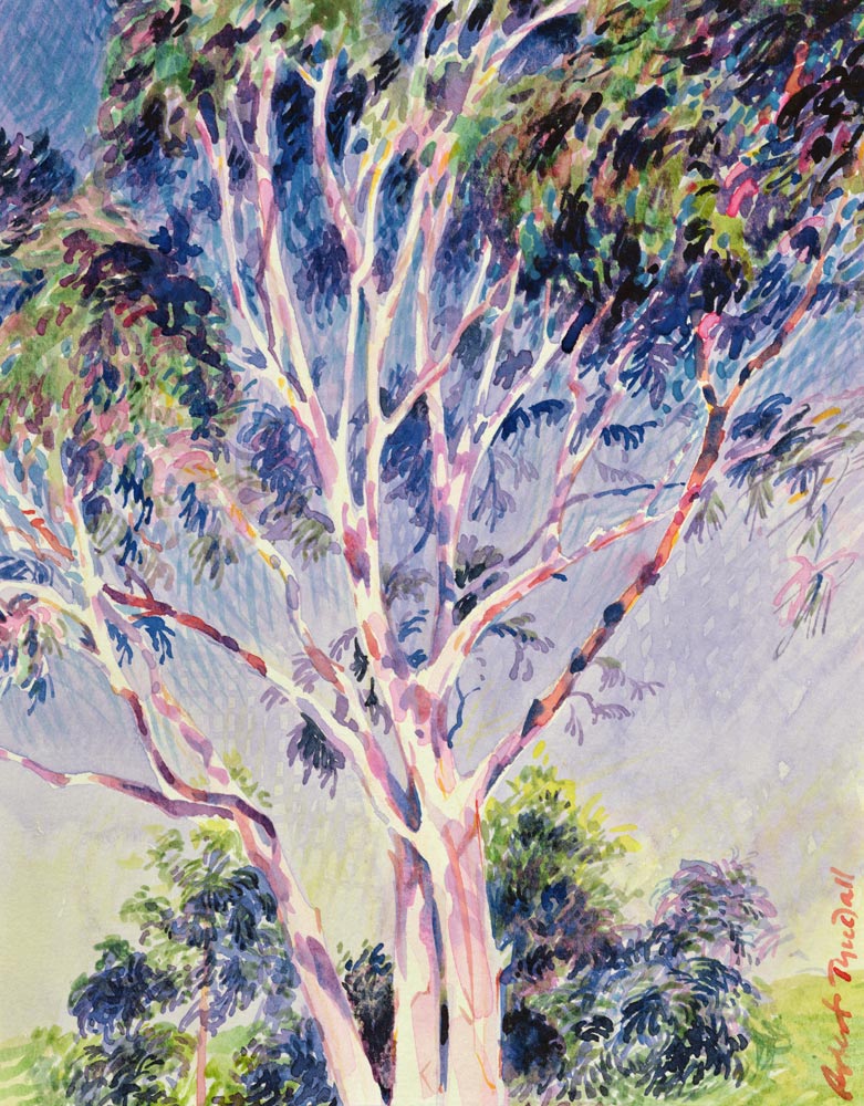 Gum Tree, Australia (w/c)  de Robert  Tyndall