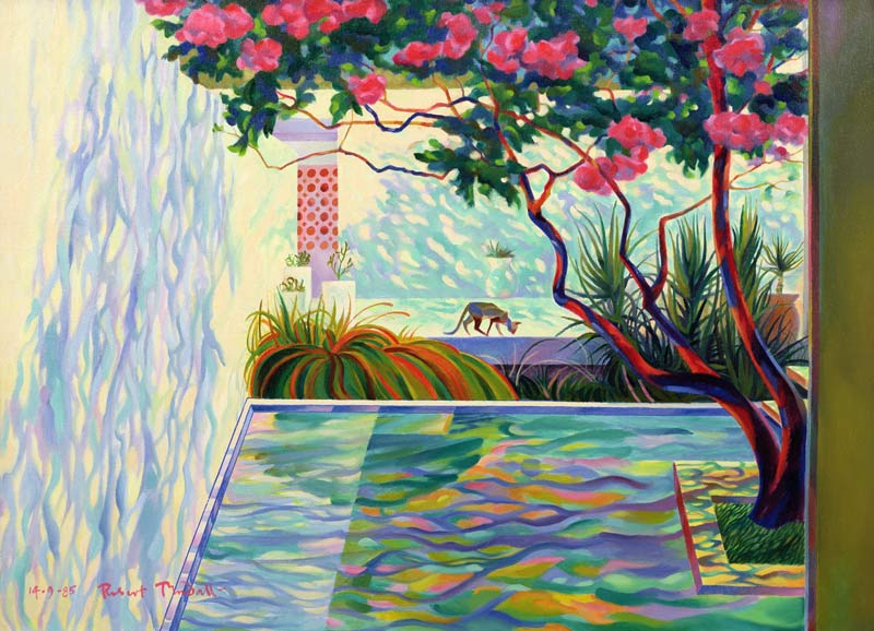 Cat in a Mexican Garden de Robert  Tyndall